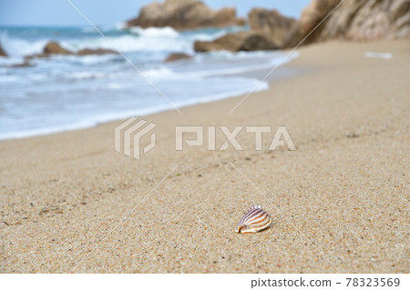 Sasagawa Nagare image（新潟縣） 78323569