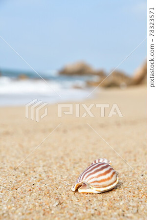 Sasagawa Nagare image（新潟縣） 78323571