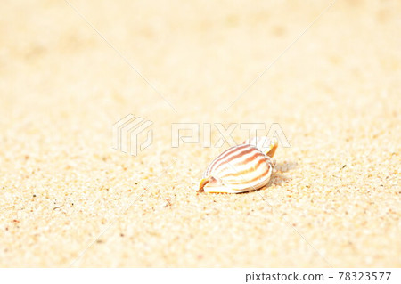 Sasagawa Nagare image（新潟縣） 78323577