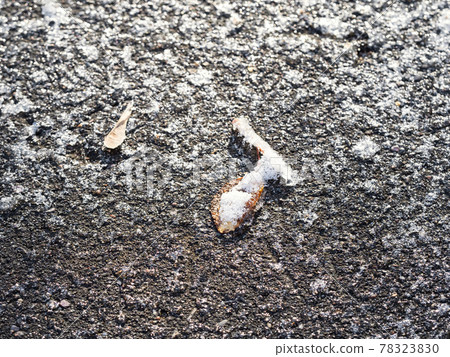frozen surface of urban road close up frozen surface of urban road close up 78323830