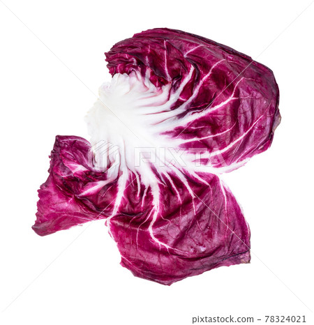 leaf of Radicchio (Italian leaf chicory) cutout leaf of Radicchio (Italian leaf chicory) cutout 78324021