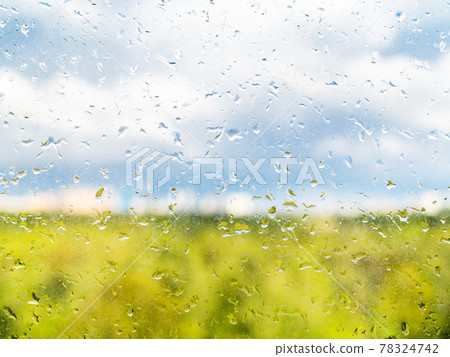 raindrops on window and view of park in spring raindrops on window and view of park in spring 78324742