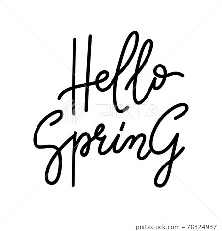 Hello Spring. Hand drawn script lettering design black on white background Hello Spring. Hand drawn script lettering design black on white background 78324937