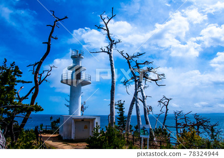 Michinoku Coastal Trail, Kesennuma Oshima Southern End, Tatsumaizaki's Rikuzen Oshima Lighthouse and Dead Black Pine 78324944