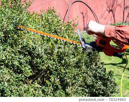 man cuts green bush with electric hedge trimmer man cuts green bush with electric hedge trimmer 78324983