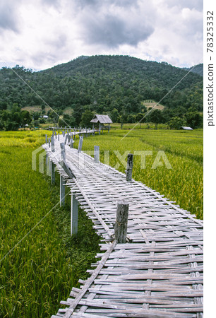 Bamboo Bridge in Pai, Mae Hong Son, Chiang Mai, thailand Bamboo Bridge in Pai, Mae Hong Son, Chiang Mai, thailand 78325332