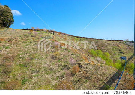 Long Zip Slide Flying in the Sky Mishima Skywalk 78326465