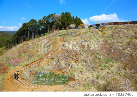 Mishima Skywalk Long Zip Slide Flying in the Sky Mishima Skywalk Long Zip Slide Flying in the Sky 78327405