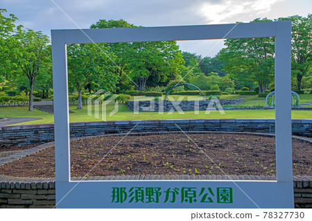 Spring scenery Nasunogahara Park 78327730