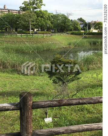 Early morning park Early morning park 78328280