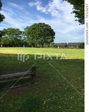 Early morning park Early morning park 78328287