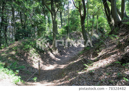 Karasuhata Castle Ruins Yokobori 78328482