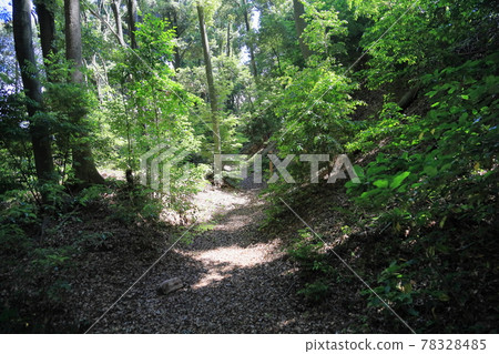 烏鴉帽形城堡的廢墟,土方工程 烏鴉帽形城堡的廢墟,土方工程 78328485