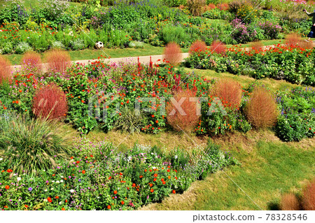 Autumn Satoyama Garden Festa 2020 Large Flowerbed Autumn Flowers Autumn Satoyama Garden Festa 2020 Large Flowerbed Autumn Flowers 78328546