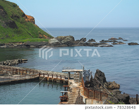 小樽 Otaru Aquarium Todo Show 潛水平台 78328648