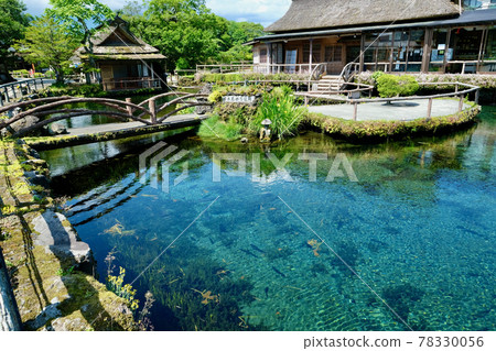 [Yamanashi] Oshino Hakkai 78330056