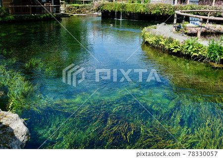 [Yamanashi] Oshino Hakkai 78330057