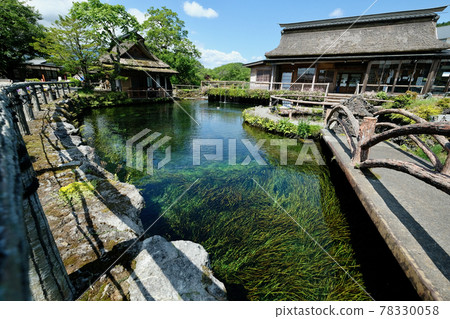 [Yamanashi] Oshino Hakkai 78330058