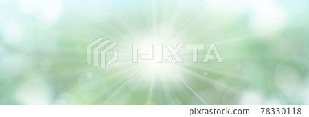 Sunlight shining through the forest in early summer (background material) Sunlight shining through the forest in early summer (background material) 78330118