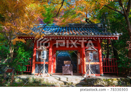 The gate and autumn leaves of Konzoji Temple in Kyoto The gate and autumn leaves of Konzoji Temple in Kyoto 78330303