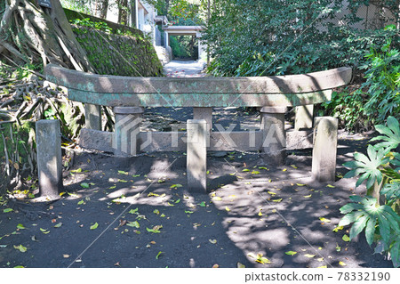 [Kurokami Buried Torii (Kurokami Shrine)] Kurokamicho, Kagoshima City, Kagoshima Prefecture 78332190