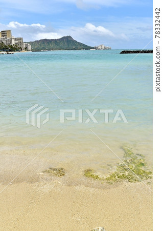 Holidays in Hawaii 78332442