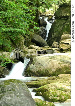 岩船京的Ayugaeshino瀑布[大阪府加多野市] 78332473