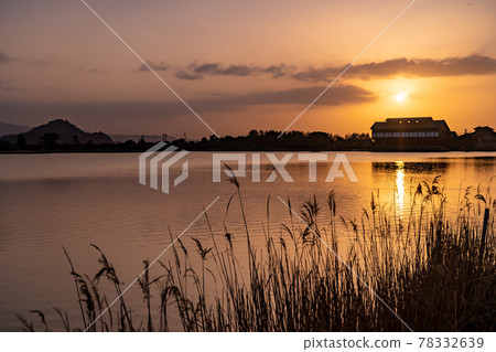 鳥取縣米子市春天的米子水鳥公園夜景 鳥取縣米子市春天的米子水鳥公園夜景 78332639