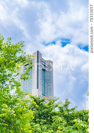 初夏的港未來附近的橫濱市景 78333057