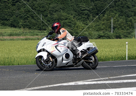 Tottori Four Seasons Walk Summer Falcon Festival 78333474
