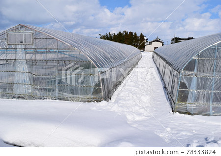 Vinyl house snow scene Vinyl house snow scene 78333824