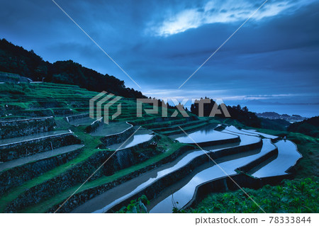 Reflection Tanimizu Rice Terrace Reflection Tanimizu Rice Terrace 78333844