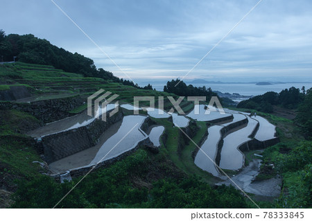 Reflection Tanimizu Rice Terrace 78333845