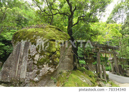 Entrance torii of Iwafune Shrine [Katano City, Osaka Prefecture] 78334340