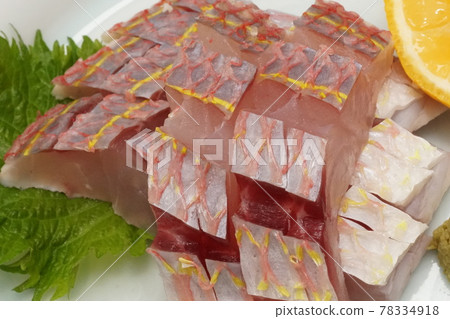 Golden threadfin bream kelp tightening 78334918