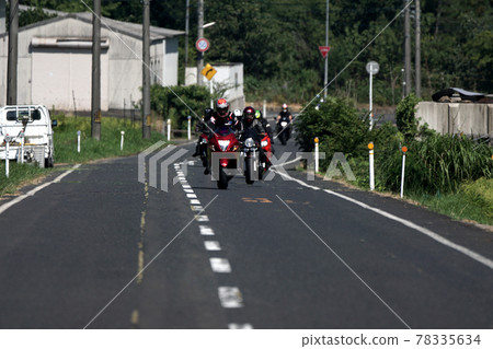 Tottori Four Seasons Walk Summer Falcon Festival 78335634
