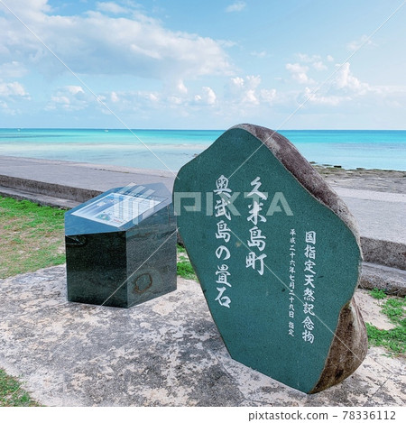 國家指定天然紀念物之一大島的榻榻米岩 國家指定天然紀念物之一大島的榻榻米岩 78336112