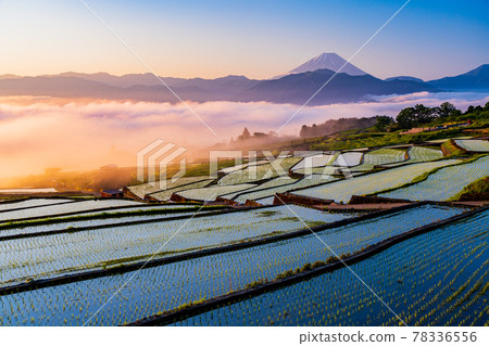 (Yamanashi Prefecture) Nakano Rice Terraces, after rice planting, sunrise (Yamanashi Prefecture) Nakano Rice Terraces, after rice planting, sunrise 78336556