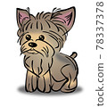 Yorkie 78337378