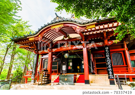 Tokyo Asakusa Mt. Tokyo Asakusa Mt. 78337419