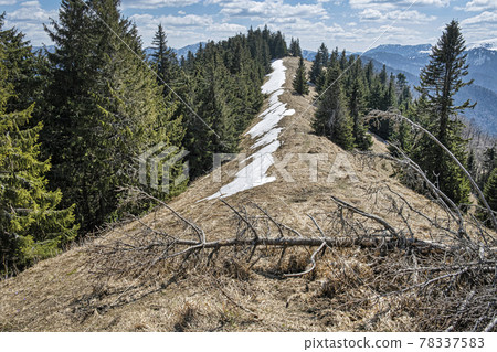 Big Fatra mountains from Lysec hill, Slovakia Big Fatra mountains from Lysec hill, Slovakia 78337583