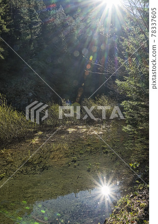 Mirrored sun in creek, Velky Sokol gorge, Slovak Paradise national park 78337605