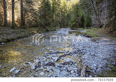 Velky Sokol gorge, Slovak Paradise national park 78337609
