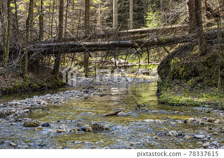 Velky Sokol gorge, Slovak Paradise national park Velky Sokol gorge, Slovak Paradise national park 78337615