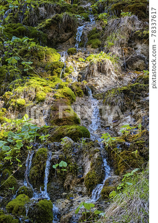 Velky Sokol gorge, Slovak Paradise national park 78337617