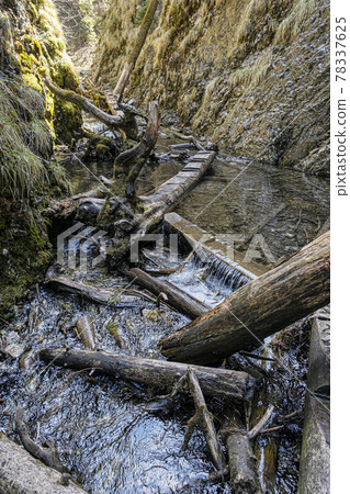 Velky Sokol gorge, Slovak Paradise national park 78337625