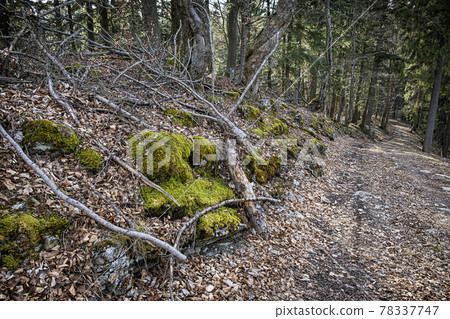 Tourist path in Big Fatra mountains, Slovakia Tourist path in Big Fatra mountains, Slovakia 78337747