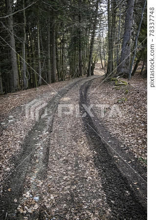 Tourist path in Big Fatra mountains, Slovakia Tourist path in Big Fatra mountains, Slovakia 78337748