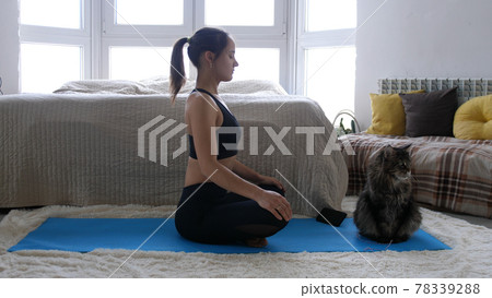 Young woman blogger shoots video doing Yoga exercise with phone while Maine Coon cat is sitting side by side at home. Sport and fitness. Training, workout and wellness concept. During Quarantine. 78339288