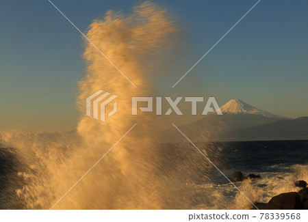 Vertical angry waves dyed in the setting sun toward Mt. Fuji 78339568